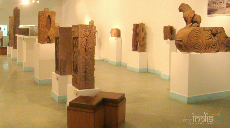 Purana Quila Museum