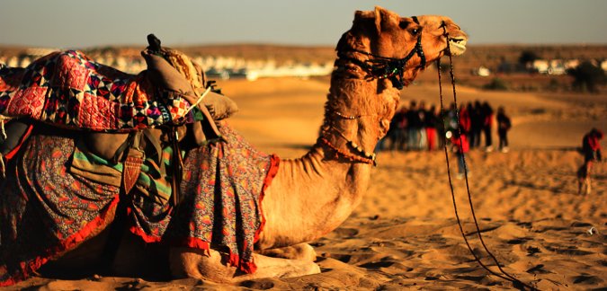 Rajasthan-Tour-Packages